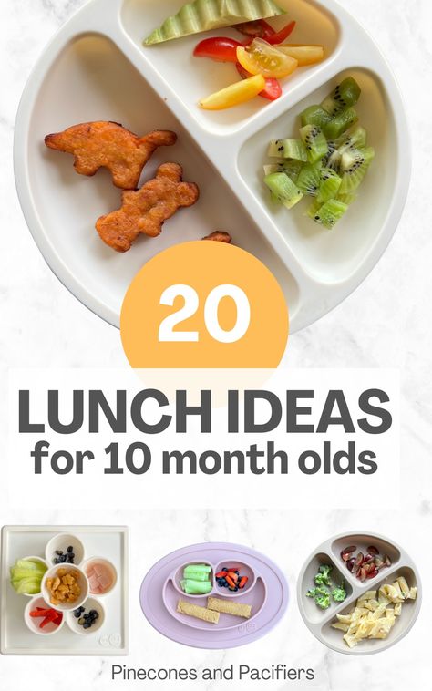 A list of 20 easy lunch ideas for 10 month olds from a mom of three! I'm sharing what my kids have eaten at 10 months old for some baby-led weaning and meal time inspriation. Easy baby led weaning and self-feeding baby food ideas, baby meal ideas, baby lunch ideas, baby-led weaning lunch. 10 Months Old Food Ideas, 10 Months Food Ideas, Meals 10 Month Old, Feeding Schedule For 10 Month Old, Lunch Idea For 12 Month Old, 11 Month Old Meal Plan, Baby Lunches For Daycare, Meals For Ten Month Old, Table Food For 10 Month Old