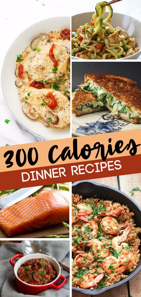 Low calorie dinners for you and your family! These 300 calorie or less dinners are proof that delicious can come in light packages.They are the perfect low calorie meals that fill you up. Start making your own low calories meal plan with these easy awesome recipes! Calories Meal Plan, 300 Calorie Dinner, Healthy Low Calorie Dinner, Low Cal Dinner, Low Calorie Recipes Easy, Low Calorie Meals, Low Calorie Recipes Dinner, 300 Calorie Meals, 400 Calorie Meals