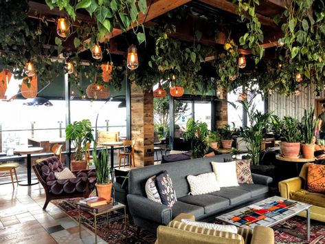 Drinks at The Nest - An Oxford Street Rooftop Bar – Kerry life and loves Treehouse Restaurant, London Rooftop Bar, London Rooftop, Hazel Hair, Chill Bar, Cafe Bar Design, London Rooftops, Chill House, Community House