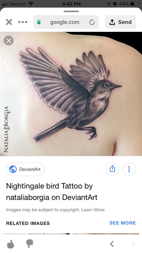 Nightjar Tattoo, Nightingale Lamp Tattoo, Nightengale Bird Tattoo, Nightingale Tattoo Minimalist, Nightangle Bird Tattoo, Nightingale Flying, Nightingale Drawing, Nightingale Tattoo, Nightingale Bird