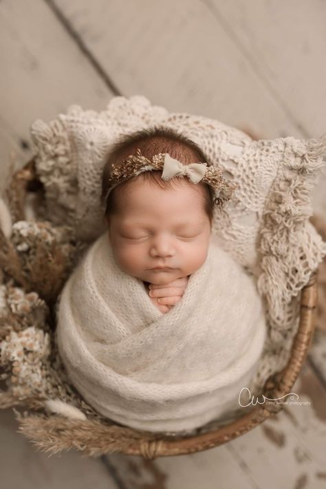 Newborn Girl Photoshooting Outfits, Newborn Baby Photography Studio, Baby Girl Newborn Photoshooting Ideas, Newborn Basket Pictures, Newborn Baby Girl Photoshooting Ideas, Newborn Girl Photoshooting Ideas, Newborn Girl Photoshooting, Baby Girl Photoshooting, Newborn Photography Girly