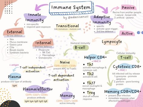 Immunity Nursing, Biochemistry Notes, Vet Medicine, Basic Anatomy And Physiology, Nurse Study Notes, Biology Facts, Medical Student Study, Medical Laboratory Science, Study Flashcards