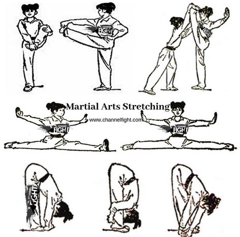 Wrestling Workout, Karate Styles, Marshal Arts, Fighter Workout, Mixed Martial Arts Training, Kyokushin Karate, Trening Sztuk Walki, Martial Arts Boxing, Karate Martial Arts