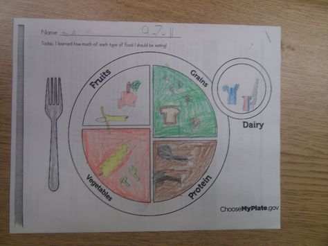 FREE - Food Groups Plate, also has food pictures, or kids can draw their own Nutrition Classes, Nutrition Certification, Nutrition Quotes, Health Unit, Teacher's Pet, Nutrition Sportive, Colored Pictures, Food Pyramid, Food Groups