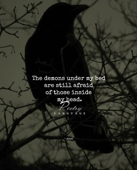 Raven Quotes, Dark Journal, Dangerous Quotes, Demonic Quotes, Goth Quotes, Dragon Kingdom, Poetry Language, Fierce Quotes, Tough Quote