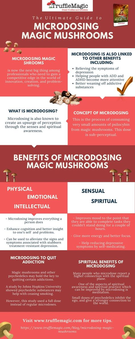 Microdosing Mushrooms, Making Mushrooms, Types Of Mushrooms, Growing Mushrooms At Home, Mushroom Benefits, Mushroom Cultivation, Endocannabinoid System, Magic Herbs, Herbal Healing