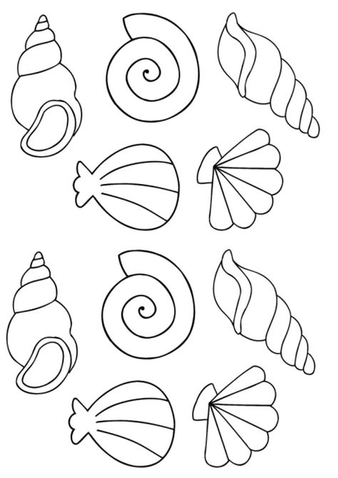 Queen Conch Shell Drawing, Seashell Drawing Simple, Sea Shell Outline, Shells Drawings, How To Draw Seashells, Whale Outline, Seahorse Crafts, Seashell Drawing, Shell Drawing