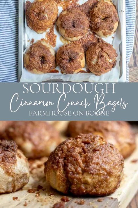 These sourdough cinnamon crunch bagels are a super delicious and possibly addicting breakfast or brunch. Chewy bagels topped with a cinnamon, brown sugar, and butter topping that is baked until caramelized and crunchy. Cinnamon Sugar Sourdough Bagels, S'more Sourdough Bread, Cinnamon Crunch Sourdough Bagels, Air Fryer Sourdough Recipes, Sourdough Cinnamon Bagels, Sourdough Cinnamon Crunch Bagels, Sourdough Discard Snack Recipes, Breakfast Sourdough Recipes, Sourdough Snacks For Kids