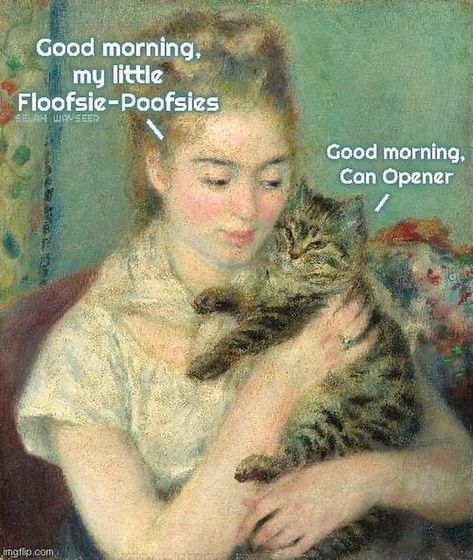 🐱 Stuff With Cats | Pet Memes on Instagram: "Good morning ☀️ 😂" Cat Lady Humor, Cheezburger Cat, Cat Sanctuary, Cat Parenting, Funny Cat Memes, Funny Cute Cats, Silly Cats, Crazy Cat Lady, Animal Memes