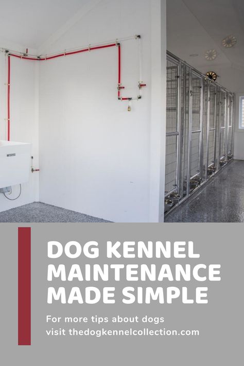 Kennel Cleaning Checklist, Dog Breeding Kennels Ideas Indoor, Home Kennel Ideas, Dog Kennel Floor Plans, How To Start A Dog Kennel Business, Dog Training Facility Layout, Boarding Kennel Ideas, Boarding Kennels For Dogs, Dog Kennel Room