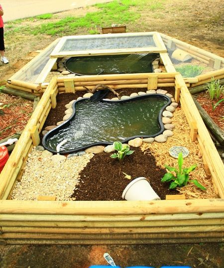 Outdoor Turtle Habitat Diy Pond Ideas, Outdoor Red Eared Slider Habitat, Outdoor Turtle Habitat Red Ear Slider, Red Eared Slider Turtle Habitat Outdoor, Red Eared Slider Turtle Habitat Diy, Red Eared Slider Turtle Habitat, Outdoor Turtle Habitat, Turtle Aquarium Ideas, Aquatic Turtle Tank Ideas