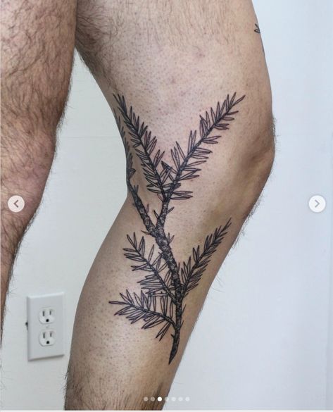 Plus Size Tattoos, Redwood Tattoo, Oregon Tattoo, Wrap Around Tattoo, Fern Tattoo, Pine Tree Tattoo, Branch Tattoo, Knee Tattoo, Sister Tattoos