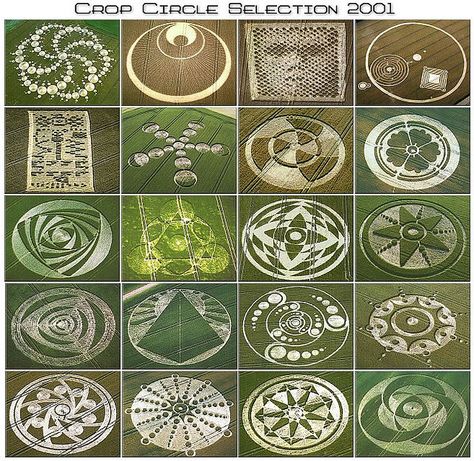 Crop Circle Selection 2001.  Internet. Real Crop Circles, Crop Circles Sacred Geometry, Ancient Astronaut, Unexplained Phenomena, Crop Circle, Aliens And Ufos, Crop Circles, Ancient Knowledge, Ancient Mysteries