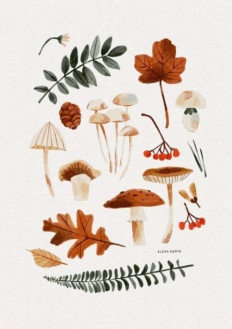 Autumn Illustration, Illustration Botanique, Botanical Watercolor, Art Et Illustration, Plant Illustration, Watercolor Inspiration, Autumn Art, Autumn Inspiration, Botanical Illustration