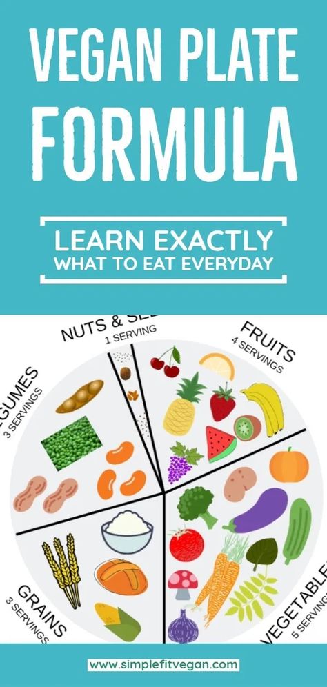 Vegan Nutrition Guide, What To Eat Everyday, Vegan Knowledge, Vegan Info, Vegan Plate, Stomach Fat Burning Foods, Nutritional Food, Plats Healthy, Best Fat Burning Foods