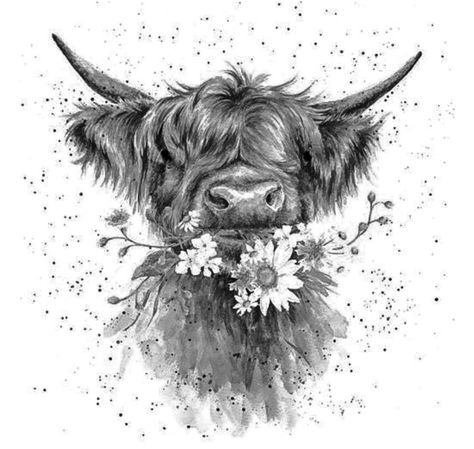 Highland Bull Tattoo, Highland Cows Tattoos, Cow Sleeve Tattoo, Highland Cow Tattoos For Women, Hyland Cow Tattoo, Highlander Cow Tattoo, Highland Cow Tattoo With Flowers, Highland Cow Tattoo, Tattoo Coverups