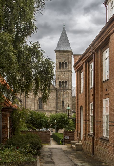 Viborg Domkirke (Viborg Cathedral), Denmark Viborg Denmark, Denmark Aesthetic, Kingdom Of Denmark, Viborg, Southern Region, The Cathedral, Western Europe, Aarhus, Copenhagen Denmark