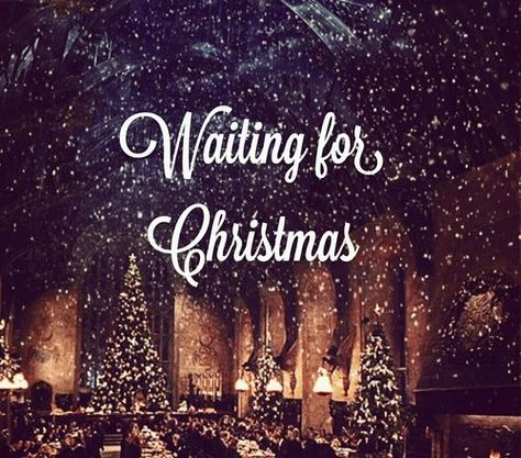 Waiting For Christmas Quotes, Christmas Countdown Quotes, Countdown Christmas, Waiting For Christmas, Christmas Image, Quotes Christmas, Facebook Quotes, Christmas Picture, Christmas Scenes