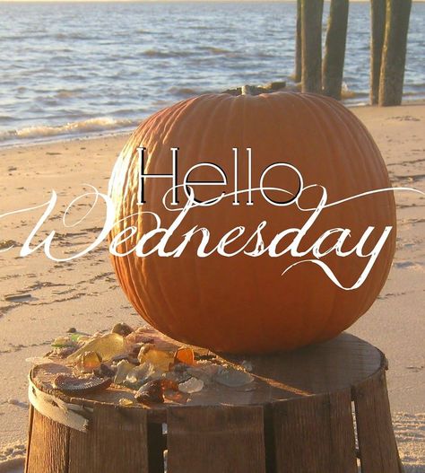 Happy Wednesday coastal lovers ~ Fall Wednesday, Wednesday Fall, Hello Wednesday, Take A Moment To Breathe, Wednesday Blessings, Morning Sayings, Wednesday Humor, Good Wednesday, Good Morning Wednesday