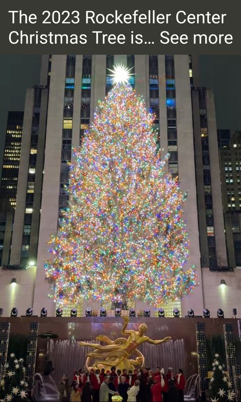 Christmas Tree Nyc, New York Christmas Tree, Christmas Lights Wallpaper, Rockefeller Center Christmas Tree, Rockefeller Center Christmas, Big Christmas Tree, Nyc Christmas, Christmas Wallpaper Backgrounds, Christmas Phone Wallpaper