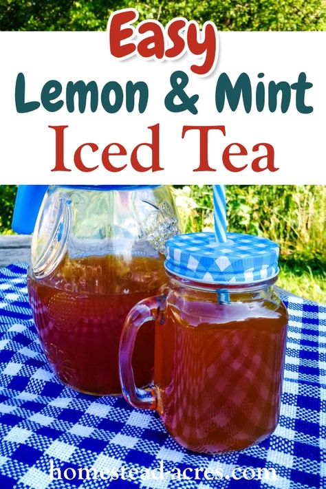 Mint Tea Recipe, Multicultural Recipes, Iced Tea Recipes Homemade, Slushy Drinks, Homemade Iced Tea, Iced Tea Recipe, Spearmint Tea, Making Iced Tea, Tasty Drinks