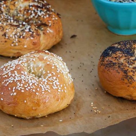 Anna Olson Recipes Baking, Anna Olsen, New York Bagels, Bagel Toppings, Anna Olson, New York Bagel, Bagel Recipe, Poppy Seeds, Dough Balls