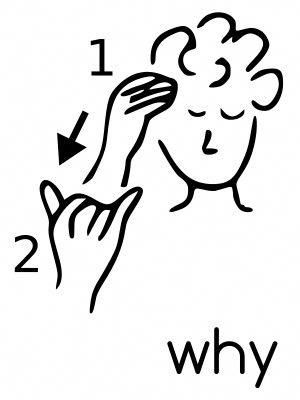 ASL - Why #signlanguagebasics Asl Beginners Signs, Asl Sign Language Phrases, Asl Vocabulary, English Sign Language, Sign Language Basics, Asl Words, Learning Asl, Simple Sign Language, Asl Sign Language Words