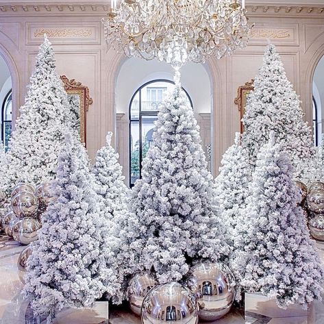 JEFF LEATHAM on Instagram: “Wishing Everyone A Very Merry Christmas 🤍💫🤍✨ I hope everyone felt love today in some way and even though it was a very different,…” Snow Flocked Christmas Tree, Jeff Leatham, Flocked Christmas Tree, Winter Wonderland Christmas, Flocked Christmas Trees, Christmas Style, Beautiful Christmas Trees, Christmas Mantels, Noel Christmas