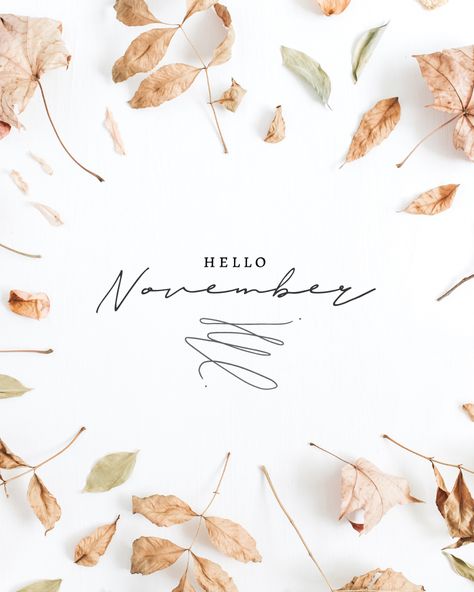 Hello November Aesthetic, November Backgrounds, November To Remember, November First, November Vision Board, November Giveaway, November Images, Seasonal Quotes, November Mood