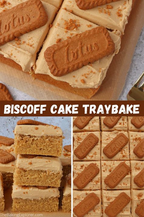 Baking Cake Recipes, Cake Recipes Birthday, Biscoff Buttercream, Traybake Cake, Biscoff Recipes, Biscoff Cake, Biscuit Decoration, Cake Stall, Bake Sale Recipes