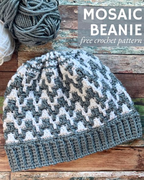 Mosaic Beanie, Crochet Chevron Hat, Winter Necessities, Beanie Crochet Pattern, Crochet Beanies, Bags Pattern, Crochet Hat For Women, Hat Patterns Free, Crochet Hat Free