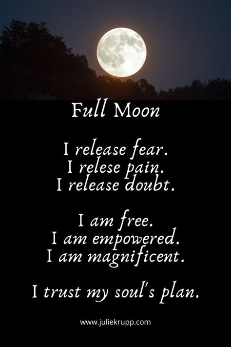 Blood Moon Rituals, Full Moon Birthday, Full Moon Release, Full Moon Quotes, Full Moon Circle, Moon Manifesting, Full Moon Spells, Full Moon Eclipse, Full Moon In Libra