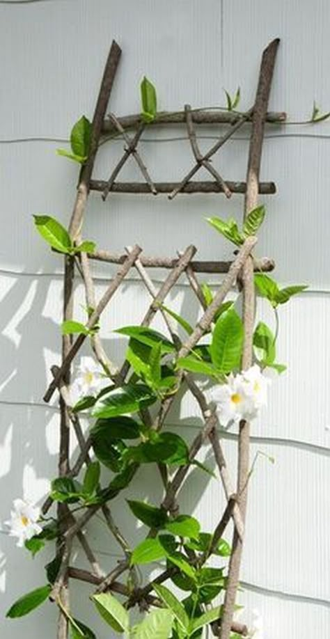 Decorations from scrap branches in new projects for gardens | My desired home Diy Trellis, Trellis Plants, Garden Trellis, Garden Structures, Decor Minimalist, Garden Cottage, Garden Crafts, Amazing Gardens, Backyard Garden