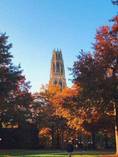 Yale University Law School, Fall Campus Aesthetic, University Fall Aesthetic, Yale Campus Aesthetic, Yale University Aesthetic Campus, Yale Aesthetic University, Fall College Aesthetic, Yale University Aesthetic, Yale University Campus