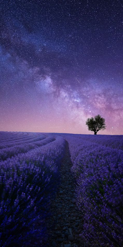 Look Wallpaper, Panoramic Photography, Night Sky Wallpaper, Lavender Field, Pretty Landscapes, Lavender Fields, Beautiful Nature Wallpaper, Jolie Photo, By Max