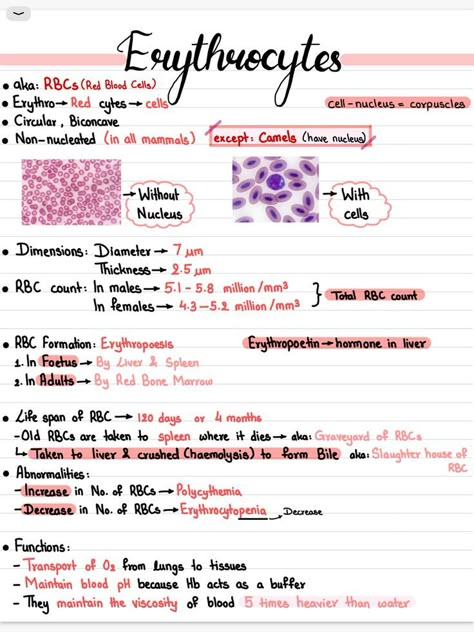 Biochemistry Notes, Learn Biology, Nurse Study, Ipad Notes, Nurse Study Notes, Nursing Student Tips, Biology Facts, Medical Student Study, Nursing School Survival