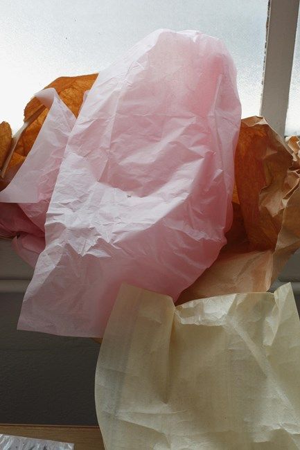 Wolfgang Tillmans, Wolfgang Tillman, Showroom Display, Bachelor Of Fine Arts, Artist Gallery, Photography Inspo, Life Photography, Still Life Photography, Emerging Artists