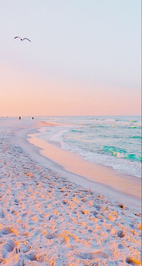 Aesthetic Wallpapers Beach, Ipad Wallpaper Aesthetic Beach, Cute Wallpapers Beach, Beachy Aesthetic Wallpaper, Preppy Beach Wallpaper, Cute Beach Wallpapers, Summer Season Aesthetic, Summer Wallpaper Beach, Sunset Phone Wallpaper