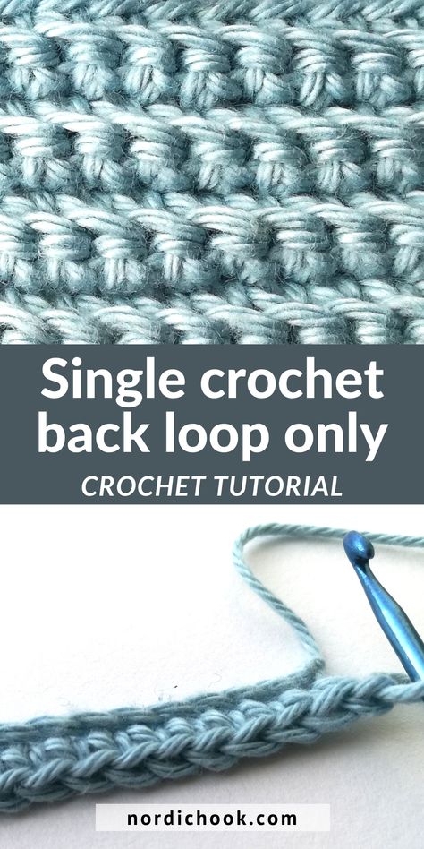 Single Crochet Stitch Back Loop, Single Crochet Back Loop Only, Sc Crochet Tutorials, Crochet Patterns Single Crochet, Blo Crochet Stitch, Back Loop Single Crochet, Crochet Back Loop Only, Back Loop Only Crochet, Back Loop Crochet