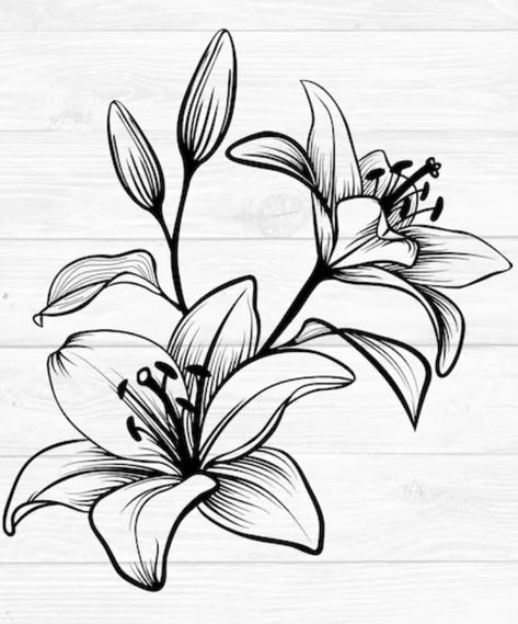 Tattoo Drawing Ideas, Chest Tattoo Stencils, Fantasy Tattoo, Drawing Ideas For Kids, Basic Tattoos, American Traditional Tattoo Ideas, Traditional Tattoo Ideas, Traditional Tattoo Designs, Easy Flower Drawings