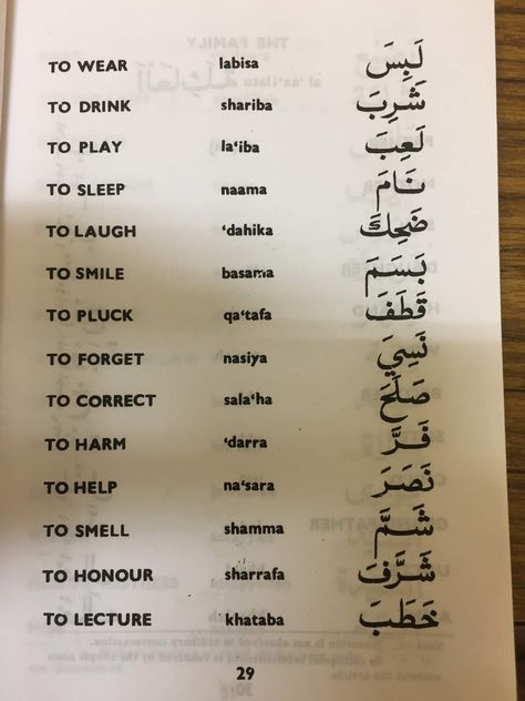 LEARNING ARABIC 6 Arabic Language Learning, Arabic Conversation, Learning Arabic For Beginners, Arabic Learning, Learning Grammar, Spoken Arabic, Arabic Writing, Learning Languages Tips, English Transition Words