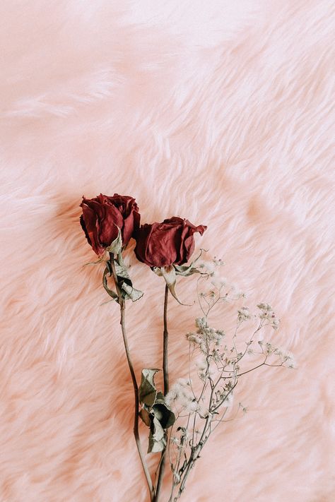 Wallpaper Aesthetic, Dried Flowers, White Flowers, Macbook, Red Roses, Roses, Flowers, Red, Pink