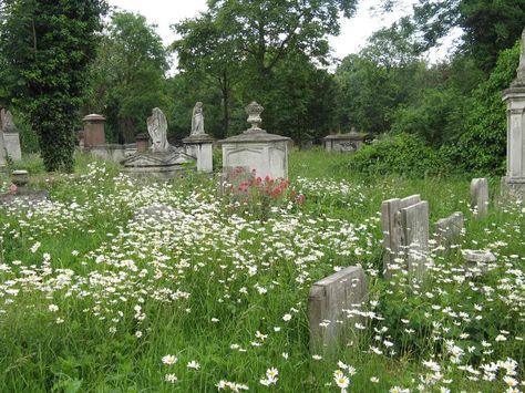 Tower Hamlets Cemetery Park covers 31 acres and is a designated Local Nature Reserve Beautiful Oblivion, Midwestern Gothic, 10 Downing Street, Nice Garden, Grave Stones, Tower Hamlets, Downing Street, 15 June, Secret Gardens