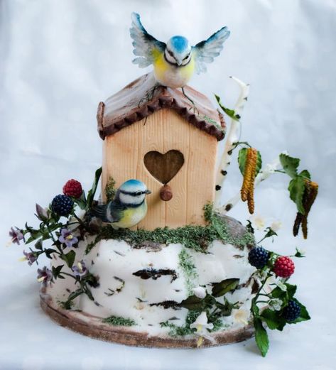 Birdhouse Cake, Woodland Fairy Cake, Bird Cage Cake, Sea Cakes, Friends Cake, Cool Cake Designs, Bird Cakes, Winter Wedding Cake, Winter Cake