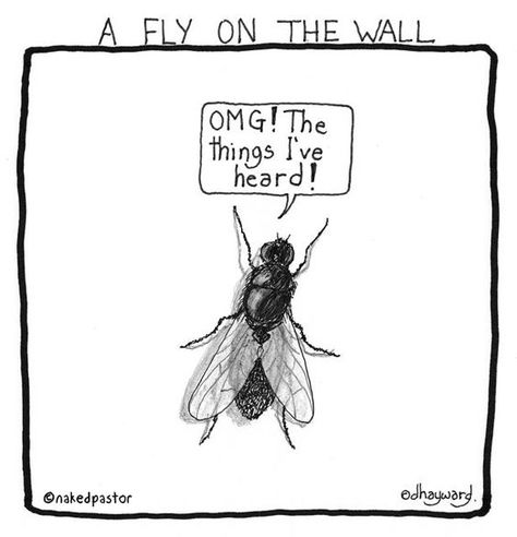 Ever Wished You Could be a Fly on the Wall? (For Designers Only) Fly On The Wall, A Thought, Wall Print, Bones Funny, Make Me Smile, Favorite Quotes, The Wall, I Laughed, Wall Prints