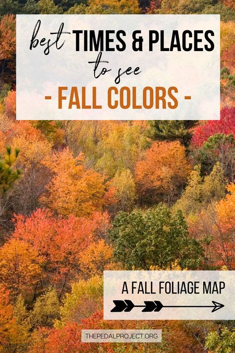 Best Places To See Fall Foliage, Best Fall Foliage Trips, Acadia Fall, Fall Foliage Map, Fall Foliage Trips, Rv Tour, Fall Foilage, Fall Foliage Road Trips, Fall Hikes