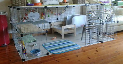 Indoor Rabbit Enclosure, Pet Bunny House, Diy Bunny Cage, Indoor Rabbit House, Diy Rabbit Cage, Rabbit Hutch Indoor, Indoor Rabbit Cage, Diy Guinea Pig Cage, Rabbit Pen