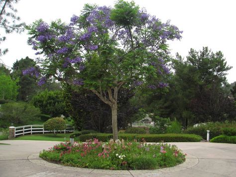 Cottage Driveway, Circle Driveway Landscaping, Circle Driveway, Driveway Entrance Landscaping, Small Yard Landscaping, Driveway Design, Driveway Landscaping, Design Circle, Circular Driveway