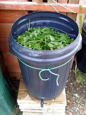 Polytunnel Layout Ideas, Nettle Fertilizer, Polytunnel Ideas, Community Allotment, Allotment Design, Allotment Plan, Biodynamic Gardening, Square Foot Gardening Layout, Allotment Ideas