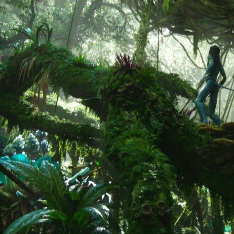 Avatar Dr Aesthetic, Green Avatar Aesthetic, Forest Avatar, Pandora Visuals, Avatar Aesthetic Icon, Avatar Visuals, Avatar Forest Aesthetic, Pandora Nature, Pandora Forest Aesthetic